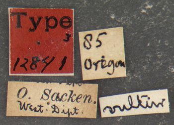 Media type: image;   Entomology 12841 Aspect: labels